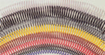 Master Document Presentation with Binding Coils & More